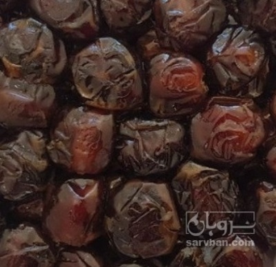 فروش خرما ربی