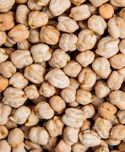 فروش نخود سایز 8 و 9