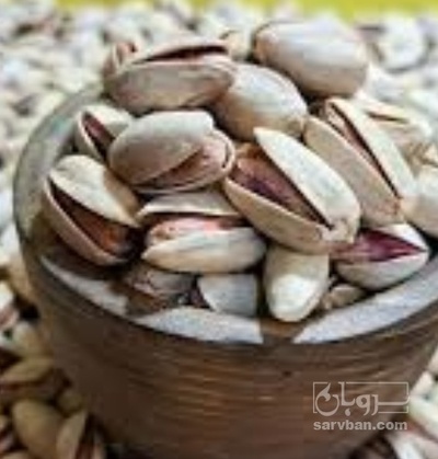 فروش پسته احمد اقایی