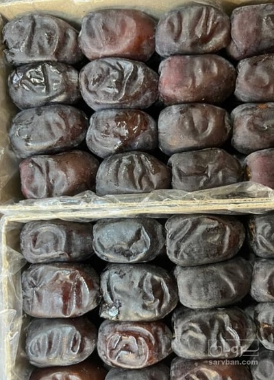 فروش خرما مضافتی