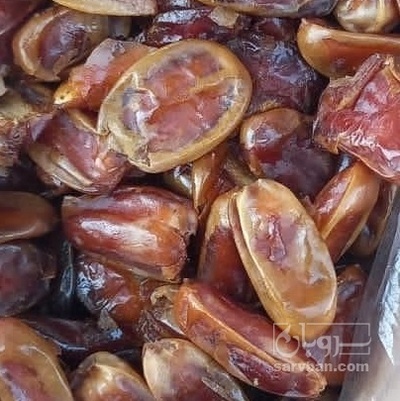 فروش خرما ضایعاتی
