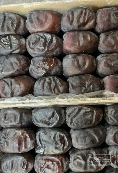 فروش خرما مضافتی
