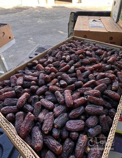 فروش خرما پیارم