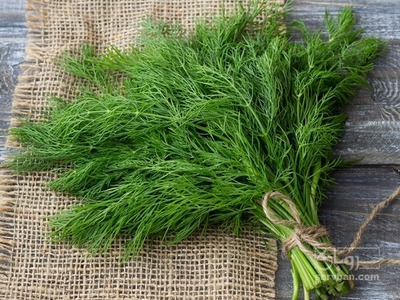 فروش شوید تازه