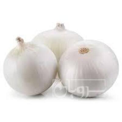 فروش پیازسفید