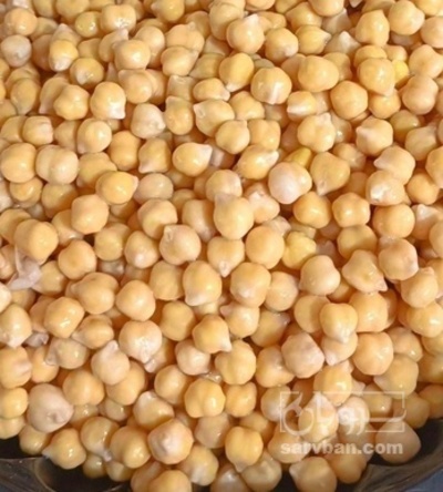 فروش نخود فلافلی