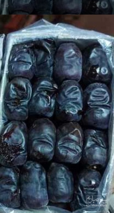 فروش خرما مضافتی