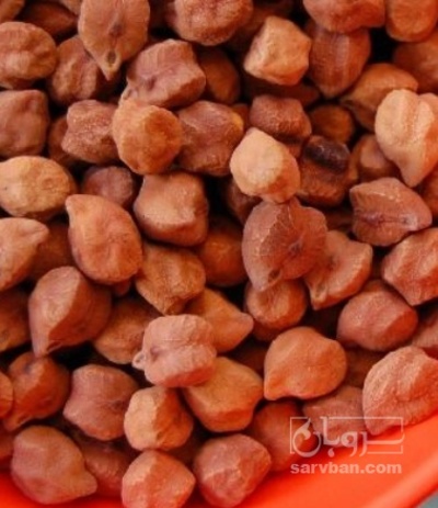 فروش نخود قرمز