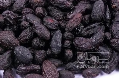 فروش زغال اخته خشک