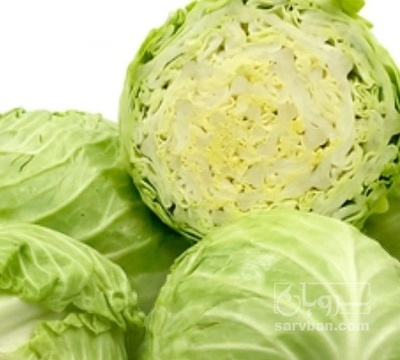 فروش کلم برگی سفید