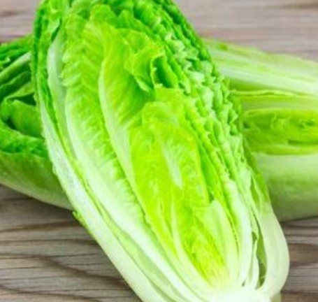 فروش کاهو ایرانی - رومانو