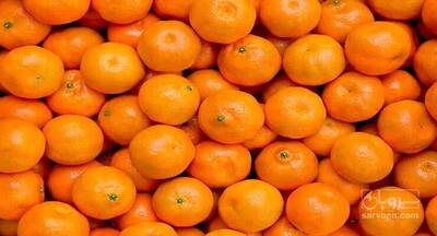 فروش پرتقال