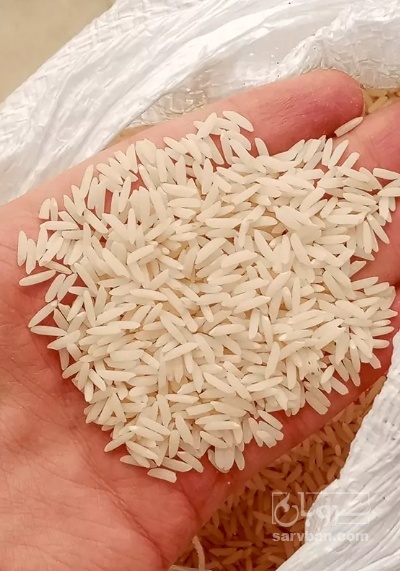 فروش برنج