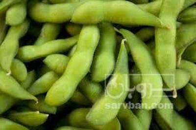 فروش باقلا تازه - باقالی - باقالا