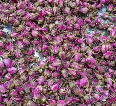 فروش گل محمدی (گیاه‌ دارویی)