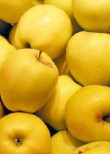 فروش سیب زرد
