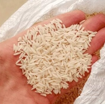 فروش برنج هاشمی