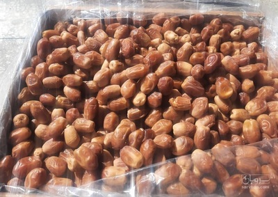 فروش خرما زادهدی درجه یک