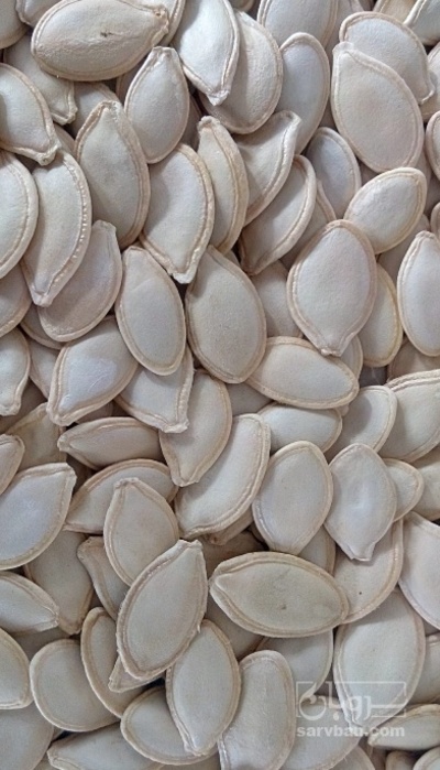 فروش تخمه  کدو بو داده