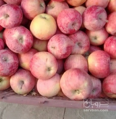 فروش سیب قرمز