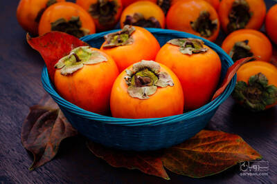 فروش خرمالو