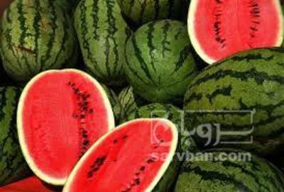 فروش هندوانه