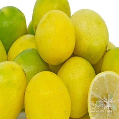 فروش لیموترش