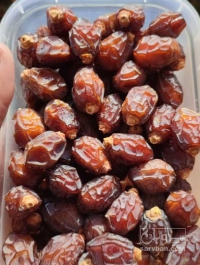 فروش خرما خاصویی
