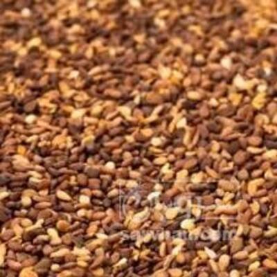 فروش کنجدقهوه ای