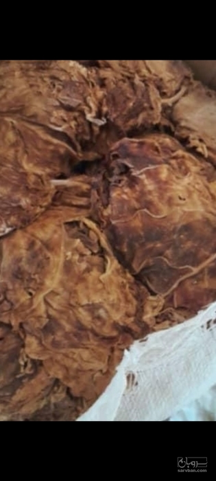 فروش تنباکو کوهی (گیاه‌ دارویی)