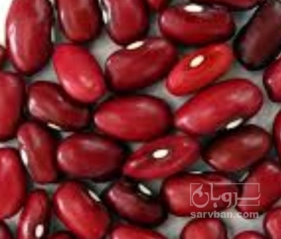 فروش لوبیا قرمز