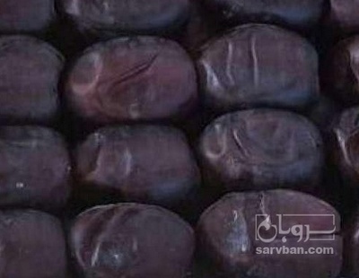 فروش خرما مضافتی