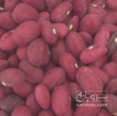 فروش لوبیا قرمز