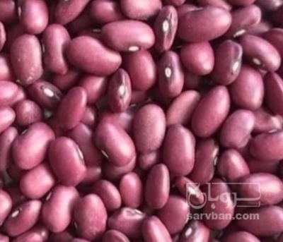 فروش لوبیا قرمز