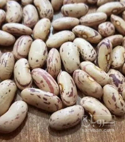 فروش لوبیا چیتی