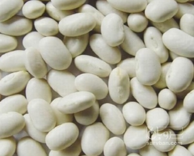 فروش لوبیا سفید