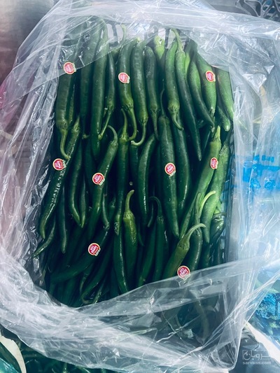 فلفل شمشیری سورت و بسته بندی شده