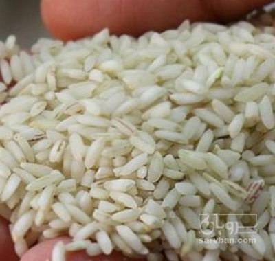 فروش برنج عنبر بو