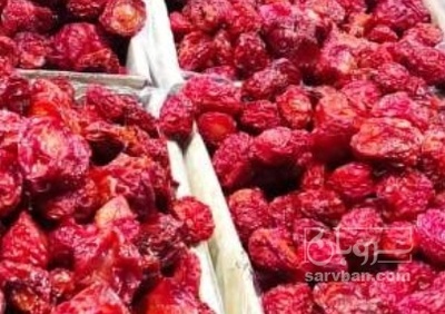 فروش آلوسانتریزه