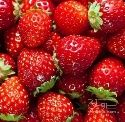 فروش توت فرنگی