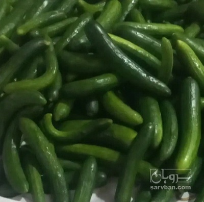 فروش خیار