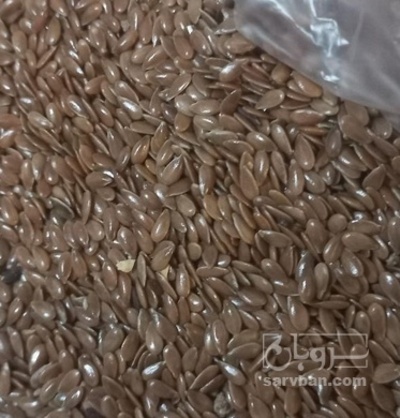 فروش کتان (گیاه الیافی)