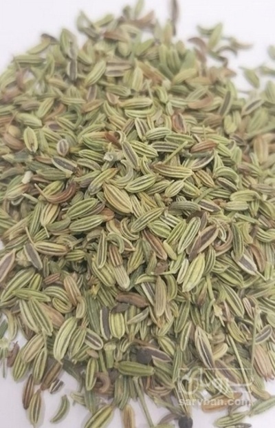 فروش رازیانه (گیاه‌ دارویی)