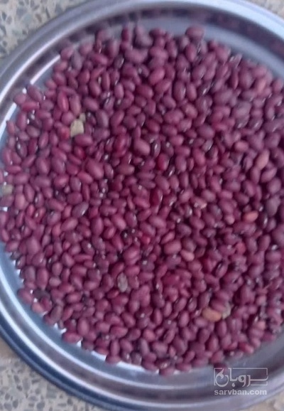 فروش لوبیا قرمز