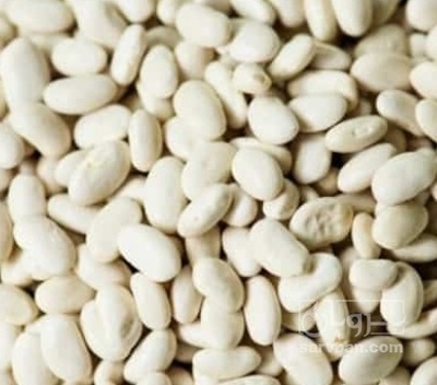 فروش لوبیا سفید