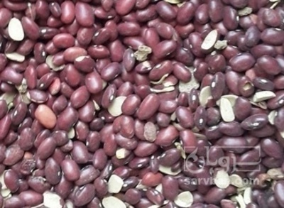 فروش لوبیا قرمز