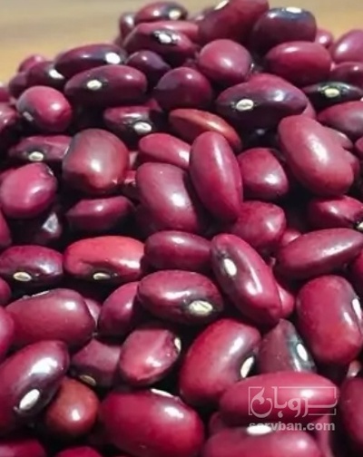 فروش لوبیا قرمز