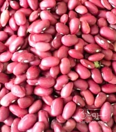 فروش لوبیا قرمز