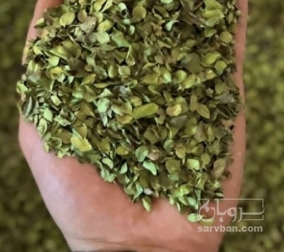 فروش آویشن خشک (گیاه‌ دارویی)