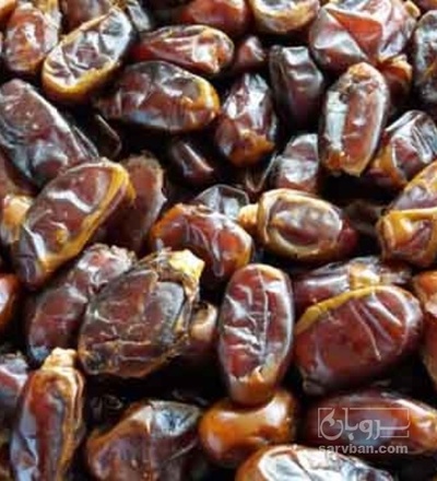 فروش خرما کبکاب